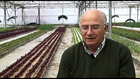 Imagen de la entrevista
